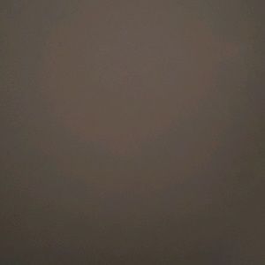 Meet your Posher, Karita